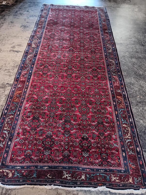 5' 03" x 13' 02" Wool Bidjar Rug- 270