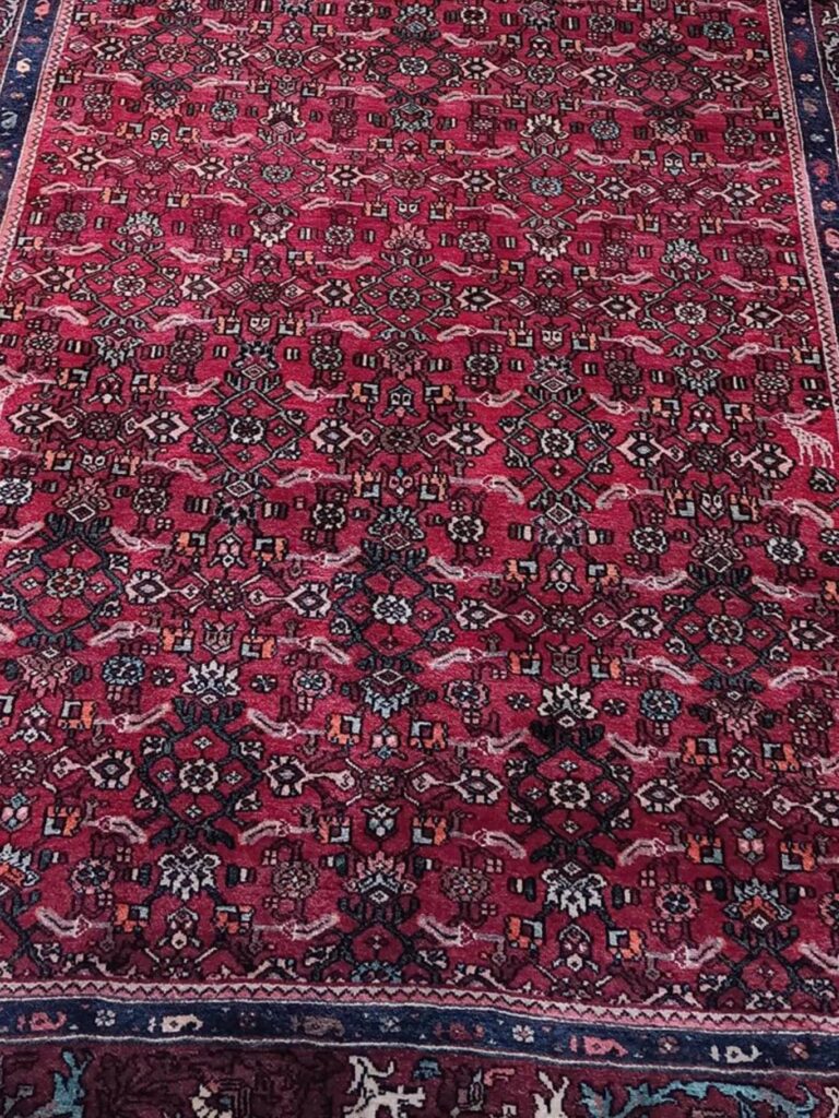 5' 03" x 13' 02" Wool Bidjar Rug- 270