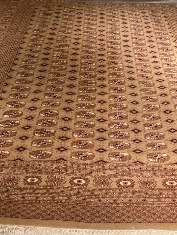 7' 01" x 10' 05" Wool- Pakistan - Image 2