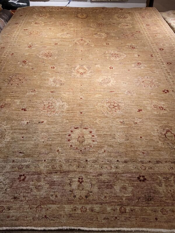9' 02" x 11' 10" Wool- India