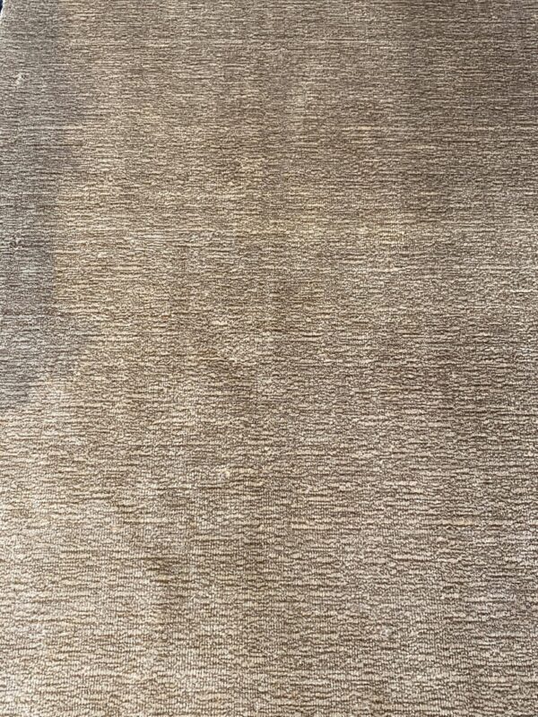 3' 00" x 4' 11" Wool- India
