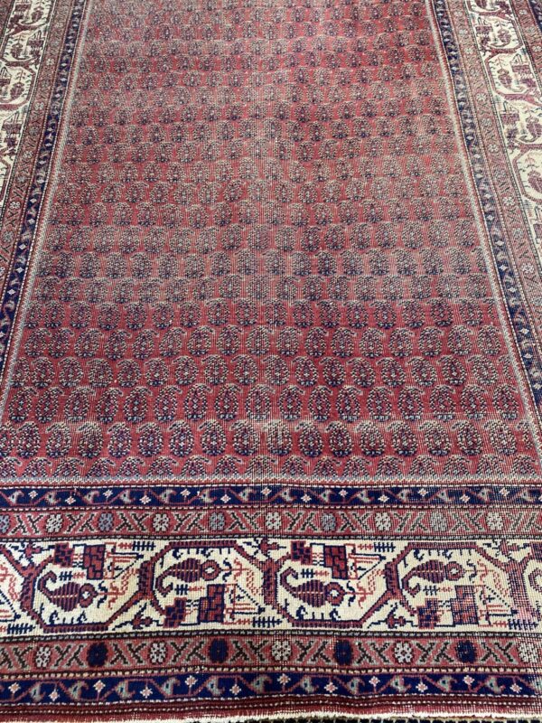 5' 09" x 8' 11" Wool- Iran