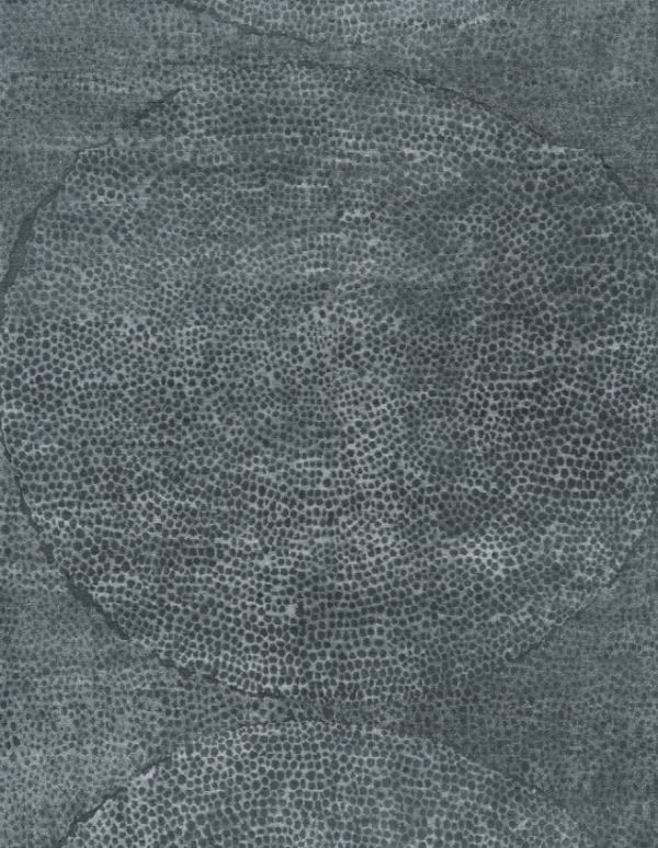 3' 00" x 5' 00" Harvest Moon Slate Rug- 4178 - Image 2