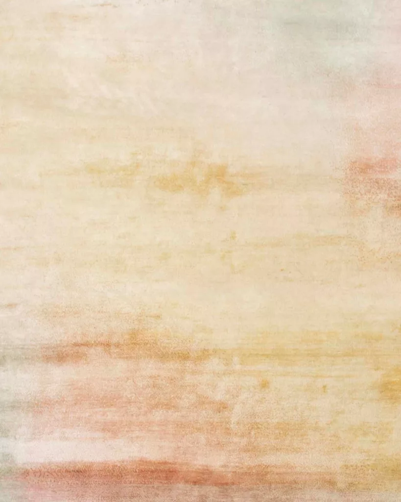 9' 01" x 12' 01" Impression Collection Indian Rug