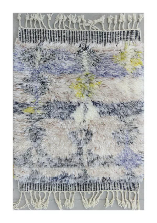 2' 00" x 3' 00" Atlas Rug Collection