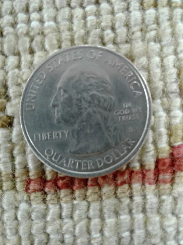 6' 00" x 8' 10" Pakistan hand knotted wool Rug